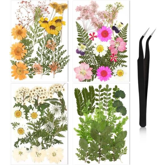 Pressed Flowers Bulk Dried Flower for Crafts, Dried Wildflowers Leave Natural - Picture 1 of 7